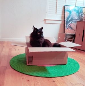 Meet your Posher, Tatiana